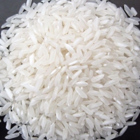 Gạo trắng hạt dài 504 (5%, 15%, 25%)