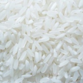 Gạo trắng hạt dài Việt Nam 6976